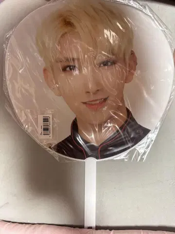 SEVENTEEN 조슈아 부채