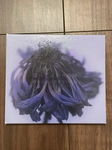 춤추기만 하는 나라, 너를 위해 살겠어 CD