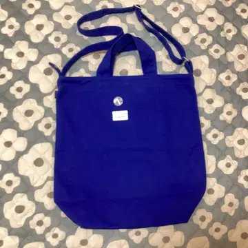 파타고니아 토트백 파랑 파타고니아 레슨 런치 백