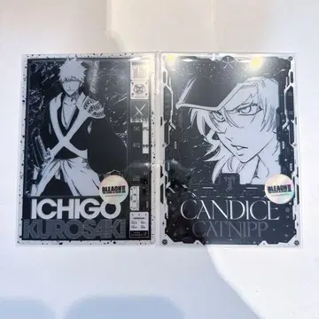 BLEACH 텐보 파크 입장 특전 클리어 카드 쿠로사키 이치고 캔디스