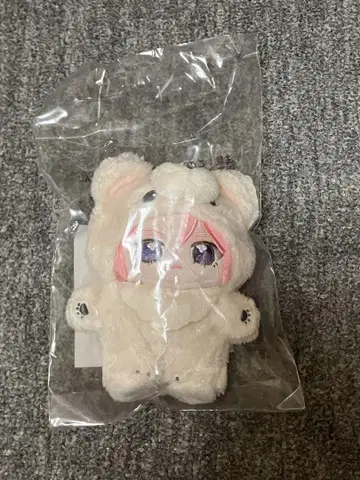 앙스타 이츠누이 오우카와 코하쿠