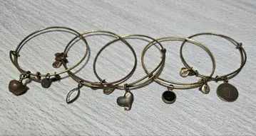 ALEX AND ANI 골드 뱅글 팔찌 5개 세트