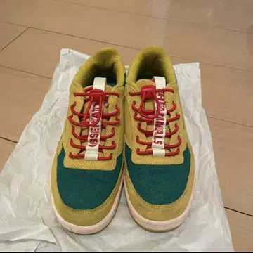 리복 CLASSIC x The Animal Observatory