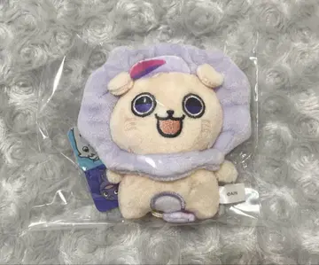 로후마오 로후마루 가오치