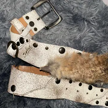 퍼가 달린 벨트