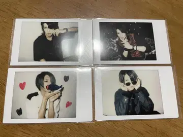 아나타샤 마린 폴라로이드