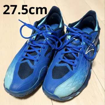 테니스화 옴니 미즈노 웨이브 엔포스 투어 27.5cm