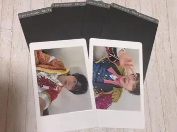 팬더 드래곤 파라곤 나기 하피카