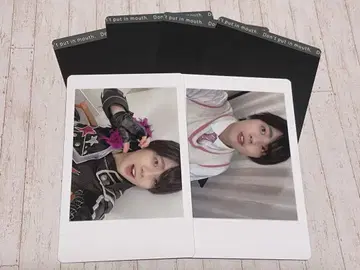 팬더 드래곤 파라곤 나기 하피카