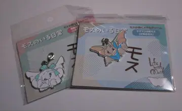 모스가 있는 일상 메탈 참