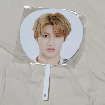 소노 슌타 부채