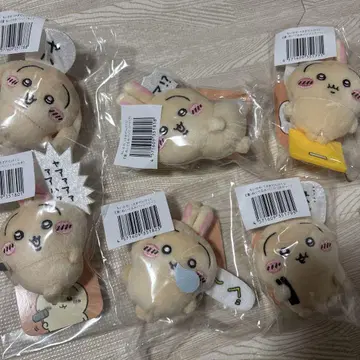 토끼 E상 6개 세트