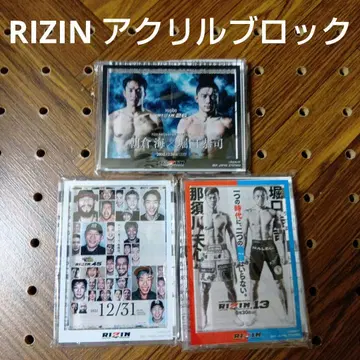 RIZIN 아크릴 블록 3종 세트 익명 배송 나스카와 호리구치 아사쿠라