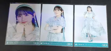 노기자카46 카와사키 사쿠라 네이블 오렌지 컴프