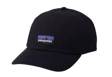 컨디션 최상 파타고니아 P-6 Label Trad Cap