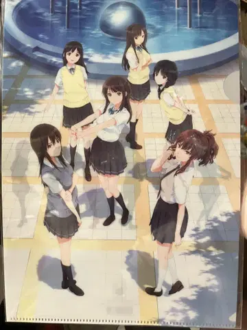 세이렌 A4 클리어 파일 (6명)