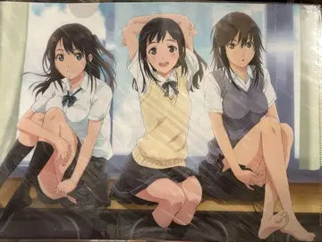 세이렌 A4 클리어 파일 (3명)