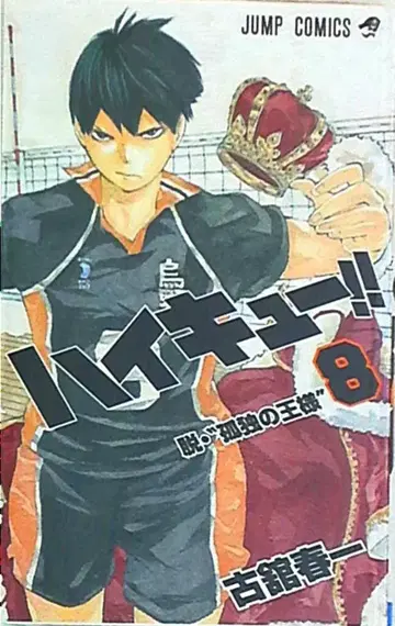 슈에이샤 점프 코믹스 후루타테 하루이치 하이큐!! 8권