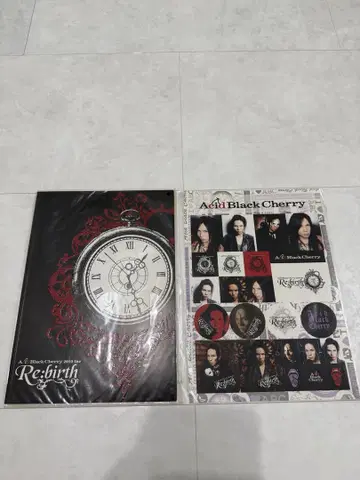 Acid Black Cherry Re:birth 팜플렛 스티커