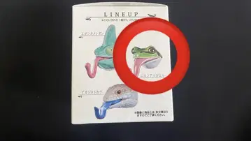 파충류 제일복권 D상 일본 청개구리