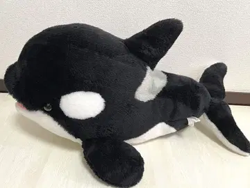 가모가와 씨월드 오카미 봉제 인형