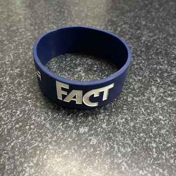 FACT JAPAN TOUR 2015 러버 밴드