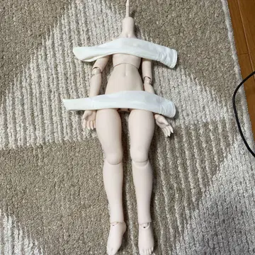 돌피드림 인형 본체 MDD 모치아시