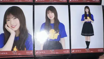 노기자카46 오가와 아야 홋카이도 라이브 T 컴프