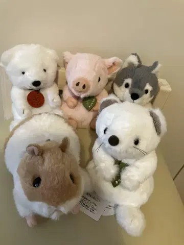potte 봉제 인형 세트
