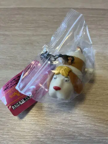태엽식 힌