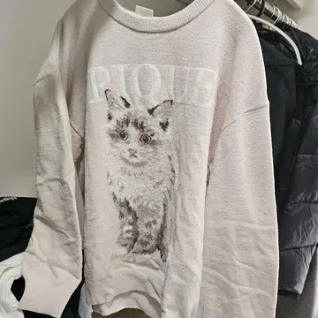 젤라피케 젤라또피케 상의 고양이