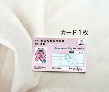 빤쮸토끼 마이 넘버 카드풍 카드 1장 아베일 미사용 새상품 레어
