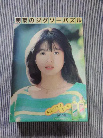 아키나의 직소 퍼즐 300 피스