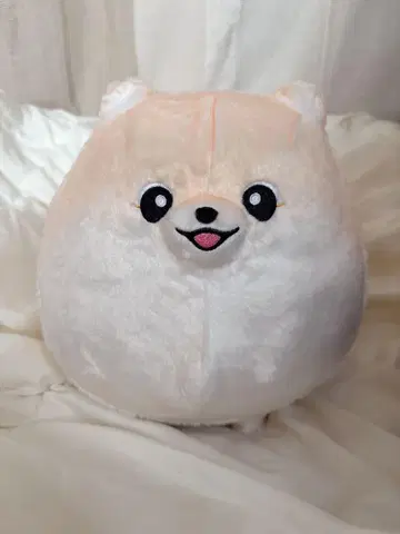 푹신푹신 포메의 포포치 BIG 봉제 인형 포메라니안 한정판