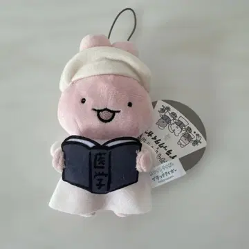 화이트 타이거와 블랙 타이거 마스코트 토끼 선생님 프라이스