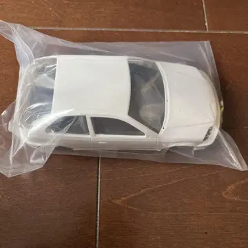 미니지 바디 EK9
