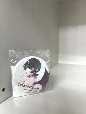 CR 하고 있었어요 sitetampo jr. 캔뱃지