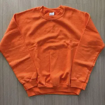 1990년대~2000년대 GILDAN 스웨트셔츠, 멋진 색상