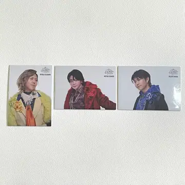 미세스 피요르드 포토 카드 오모리 와카이 후지사와 3장 세트