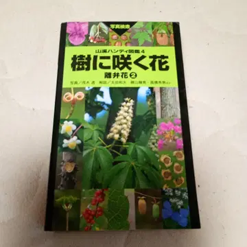 나무에 피는 꽃, 이엽화 2