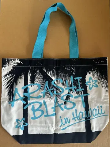 아라시 백 ARASHI BLAST in Hawaii
