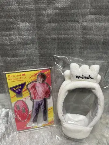 w-inds. winderlust 아크릴 스탠드와 응원봉 커버