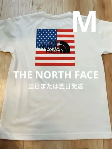 THE NORTH FACE 미국 국기 티셔츠