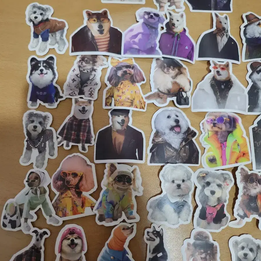 그동안 많이 물어봐주셨었던 우디가 정말 잘 사용하고 있는 찐템들을 소개합니다!! (솔직후기를 담아..💭) No광고😎, 대부분  내돈내산, 정말 잘 사용하고 있는 제품들 입니다:) (그 중 2가지는 단순선물!) 다음에는 우디가 먹는 영양제, 사료 및 간식, image size:900x900