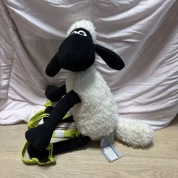 양의 쇼