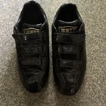 ZETT 포인트 스파이크 그랜드 메이트 24.5cm