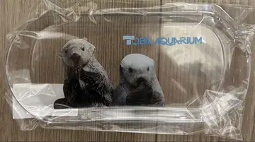 도바 수족관 키라메이 포켓
