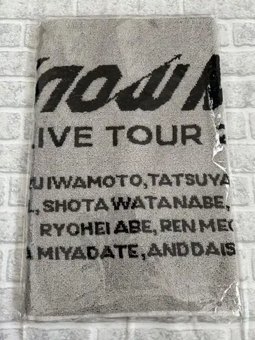 Snow Man LIVE TOUR 2022 LABO 타월