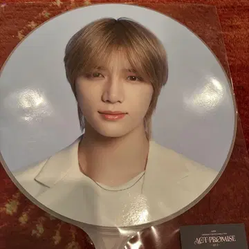 ACT PROMISE Episode 2 봄규 부채