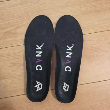 DVNK 엘리트 인솔